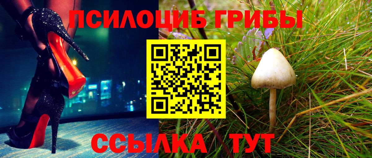 Галлюциногенные грибы мицелий  Вход с VPN  Нижнеудинск 